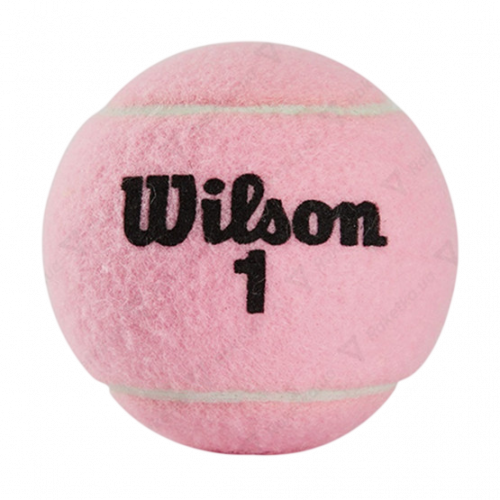 Теннисные мячи Wilson Tennis Ball 2-Pack Pink