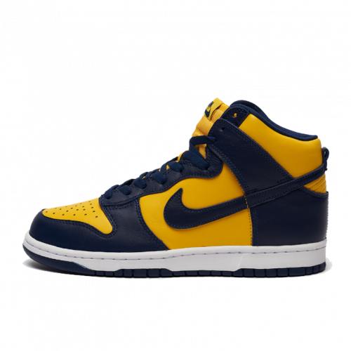 Nike Dunk High Michigan (2020)