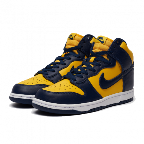 Nike Dunk High Michigan (2020)