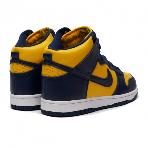 Nike Dunk High Michigan (2020)